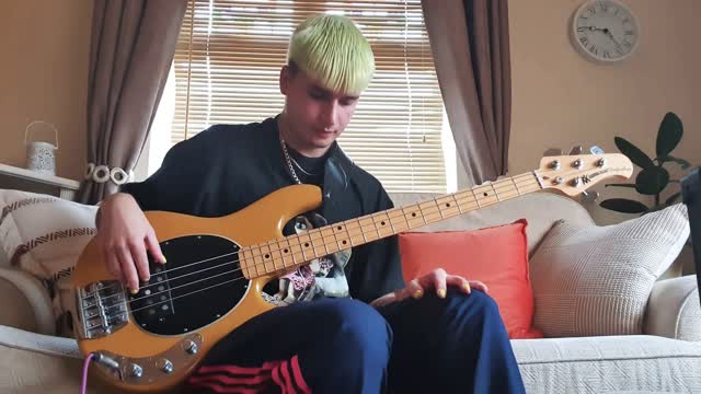 Dua Lipa - Don't Start Now (Bass Cover)