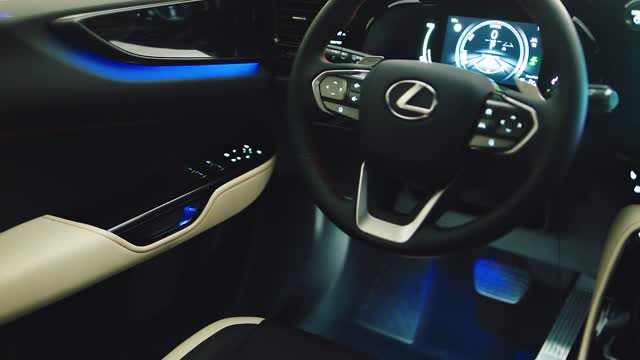 2022 Lexus NX - Interior and Color Options