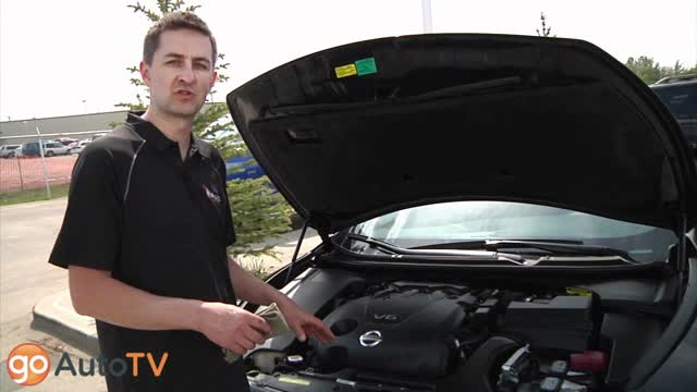 How to Check Oil, Coolant, Transmission Fluid and Brake Fluid - Auto Service Tips from GoAuto.ca