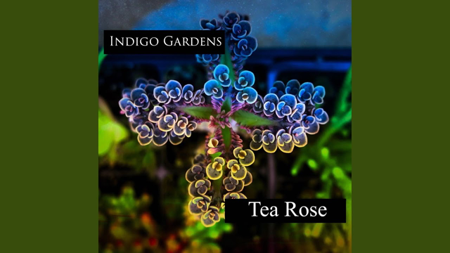 Indigo Gardens