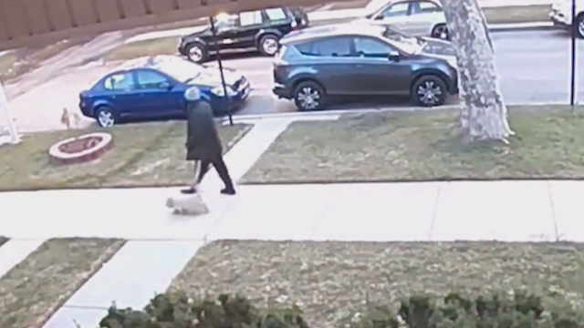 Man, 51, shot and killed while walking dog on West Side