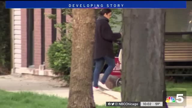 Bat-Wielding Woman Attacks at Least 9 in Chicago
