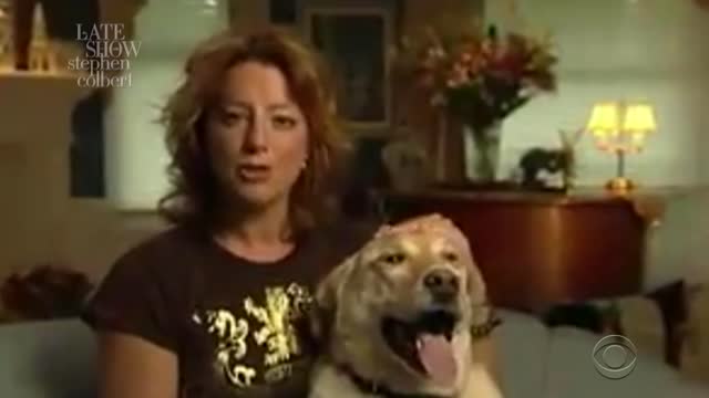 We Must Stop Dogs From Voting In The 2020 Election