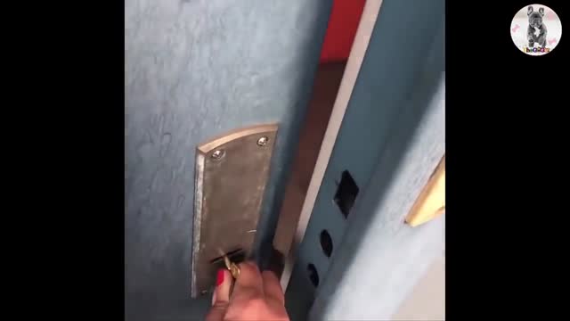 Rescue Sick Puppy Starving On The Street & AMAZING Transformation