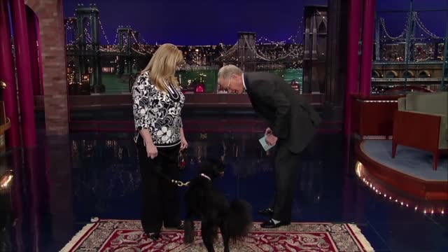 Stupid Pet Tricks: Dog Plays Dead | Letterman