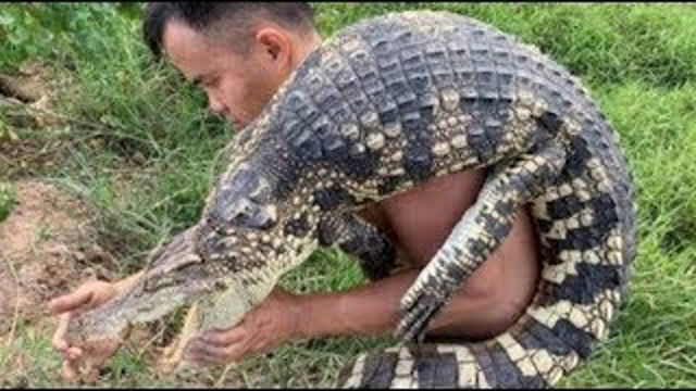 Primitive technology - catching giant crocodiles - Eating Awesome cooking fish