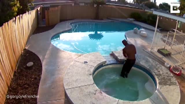 Man Rescues Puppy From Drowning In Backyard Pool