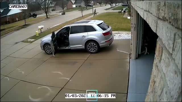 Black People Dont Play When A Dog Gets  Loose