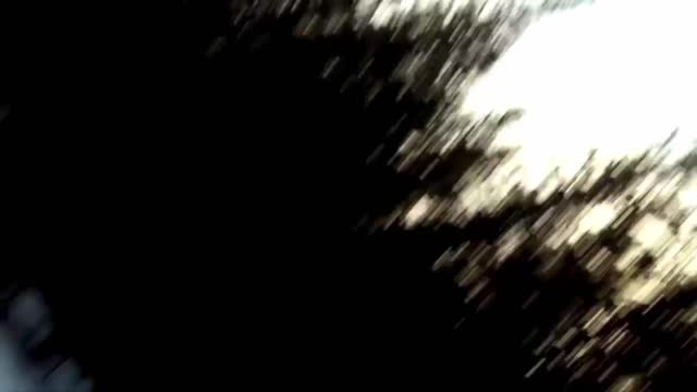 Swedish man scares the living shit out of an attacking bear