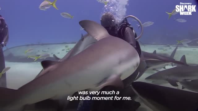 Woman Has Removed Over 300 Hooks From Sharks' Mouths | The Dodo Wild Hearts
