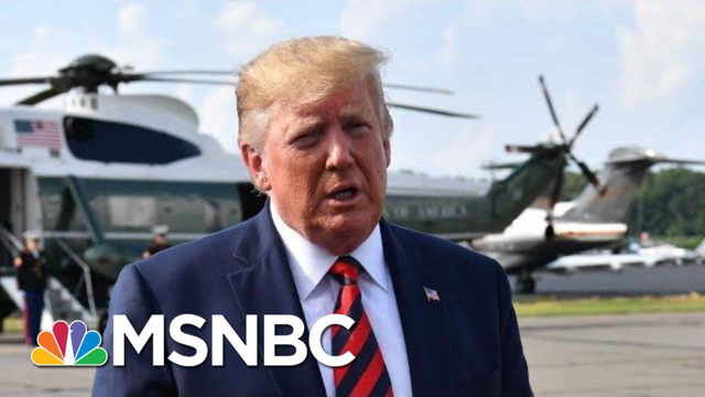 Trump Retreats On Background Check, Blames Mental Health For Gun Violence - The Day That Was | MSNBC