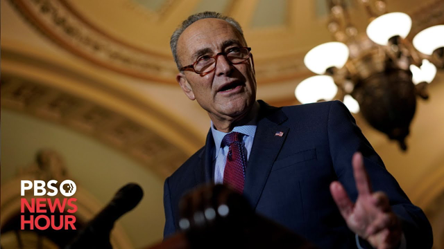WATCH: Schumer discusses Trump impeachment trial