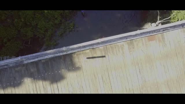 FREEDIO: "summer " royalty free HD stock video footage