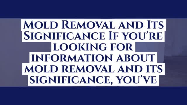 ASAP MOLD TESTING ENCINO