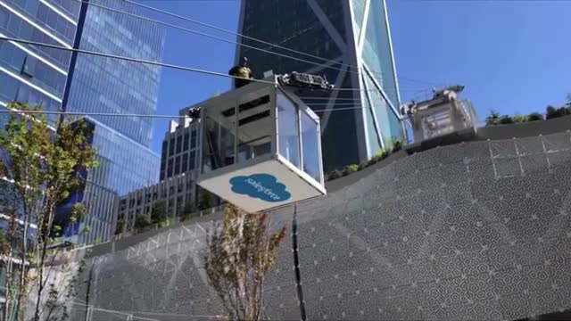 Salesforce Park_ Boasts 16,000 Plants & 600 Trees Collection