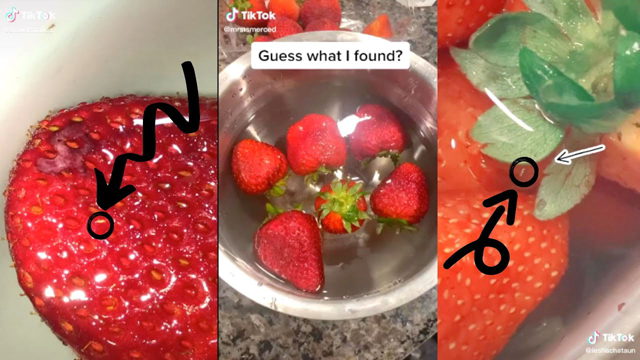 Strawberry Challenge TikTok