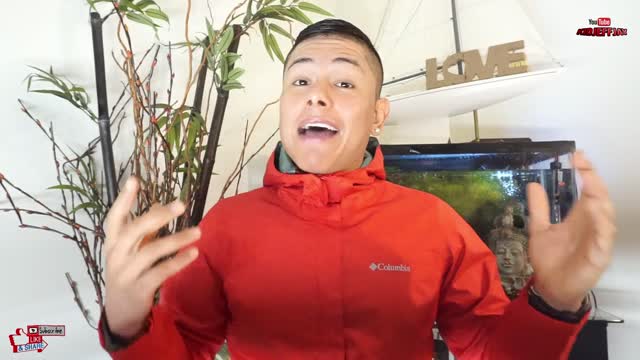 Pushing Car Using Only My Teeth | Neck Workout