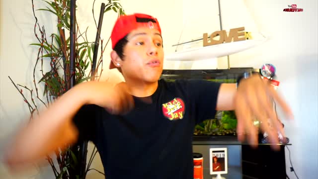 Feeding Baby Sharks Blood Worms