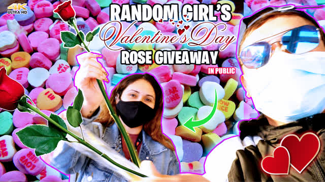 Valentines Day Public ROSE Give Away