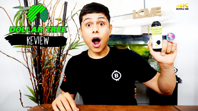 Dollar Tree Charcoal Facial C | Review