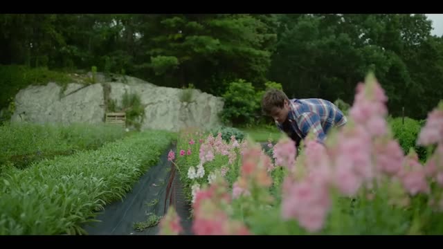 SPACE ODDITY Trailer (2023) Kyle Allen, Alexandra Shipp, Kevin Bacon, Romantic Movie