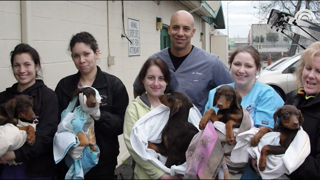 Get to know Dr. Kwane "The Street Vet"