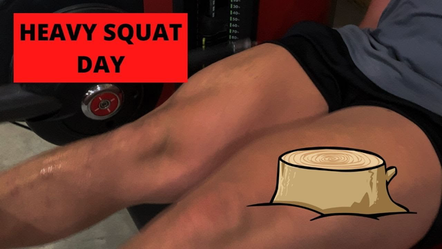 HOW TO GET TREE TRUNK LEGS | HEAVY SQUAT DAY
