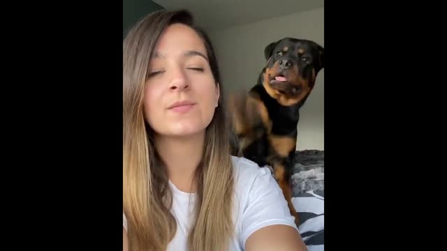 My Rottweiler takes kisses very seriously πΎπ