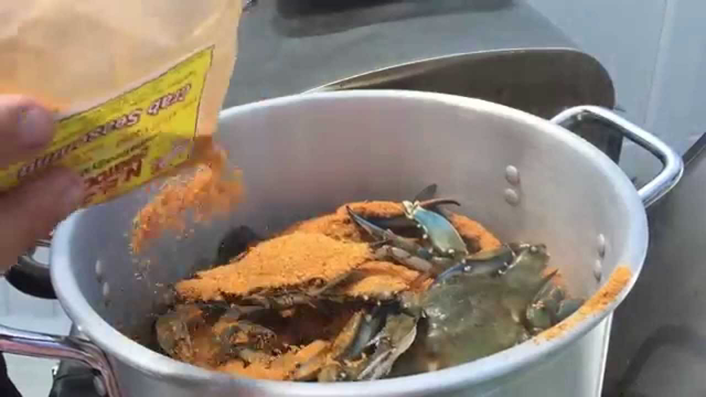 How to Steam Blue Crabs Maryland Style