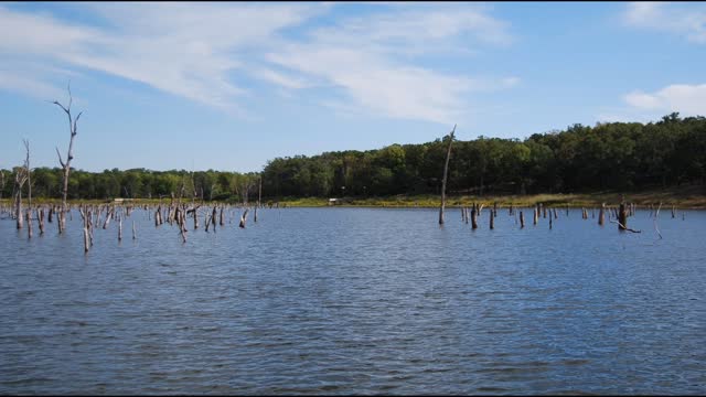 Lake Fork Guide Lanes - Instructions for Use