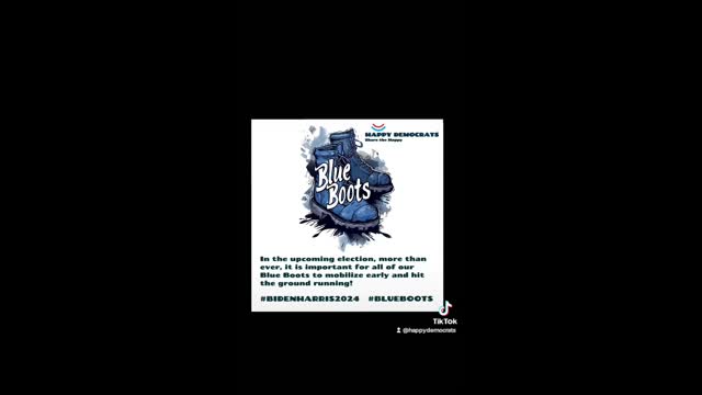Blue Boots Democrats