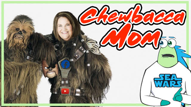All about CHEWBACCA MOM'S success