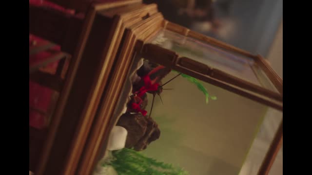 Dua Lipa - We're Good (Official Music Video)