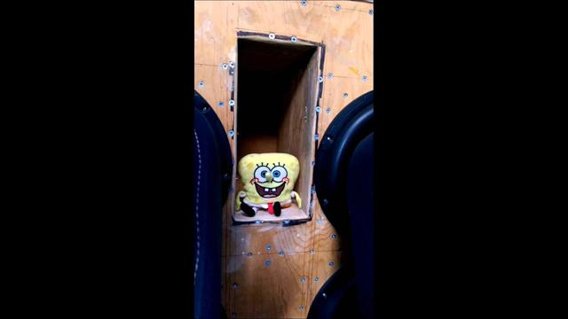 Spongebob bass pants