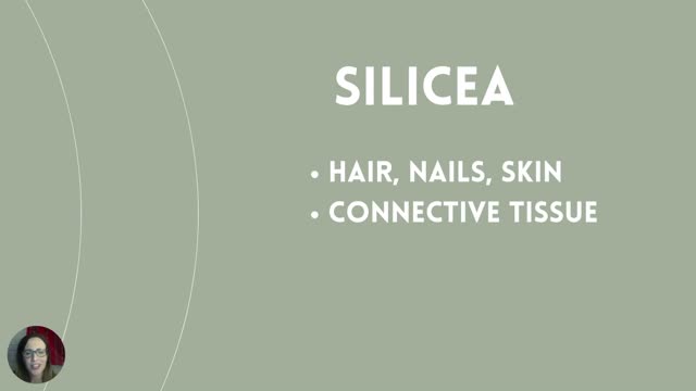 What are the Homeopathic Cell Salts?