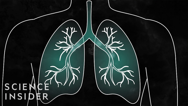 What Coronavirus Symptoms Look Like, Day By Day