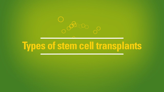Types of stem cell transplants: autologous vs. allogeneic