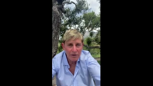 I Stand with Black Lives Matter