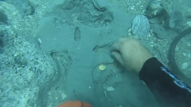 Sanford Family Finds Extremely Rare Gold Coin