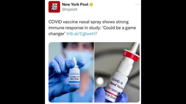 Daily Dose of Absurdity COVID - Climate Change and much more Absurd related news