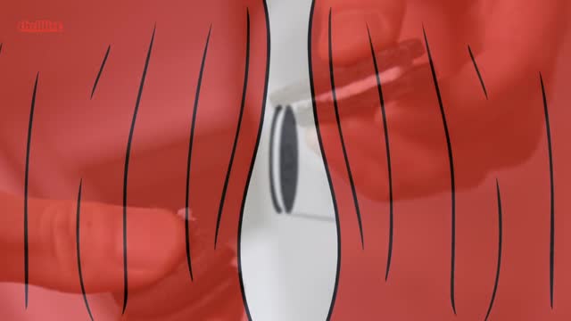 The History of OREOS