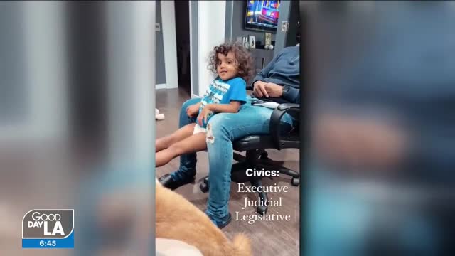 Los Angeles toddler with an IQ of 146 accepted into Mensa