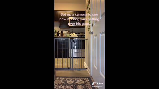 MIND BLOWING MOMENTS CAUGHT ON CAMERA!