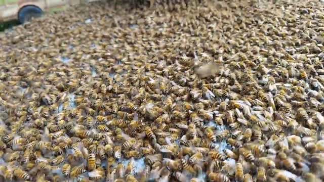 If I Hadn't Caught It On Camera You Wouldn't Have Believed Me