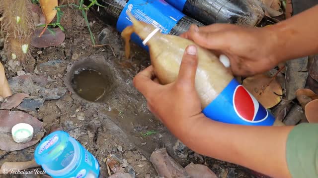 Experiment Pepsi Vs Mentos Catch Fishes From Hole