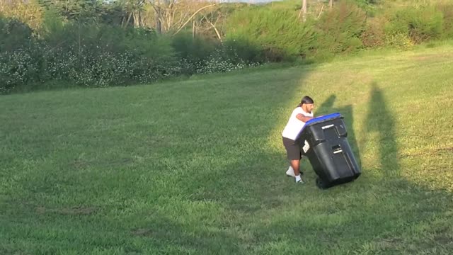 Florida Man catches alligator using a garbage can