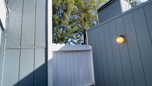 We're Buying a House! (LA House Tours)