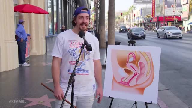 What Do You Know About the Female Body?