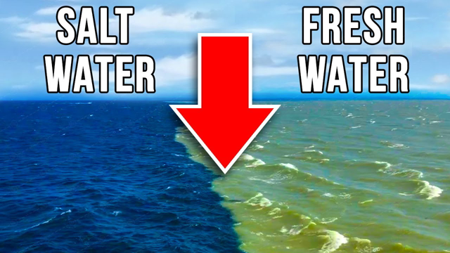 WHY the Atlantic and Pacific Oceans Don't Mix