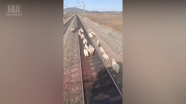 NEAR DEATH CAPTURED...!!! [Pt. 100]   Ultimate Near Death Video Compilation 2021   Fail Department